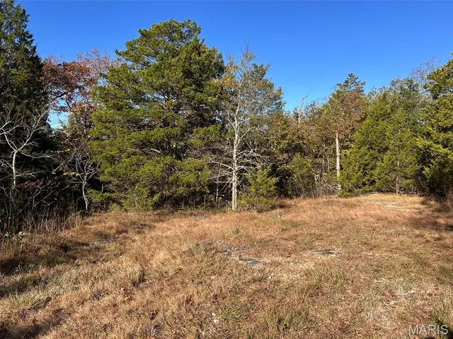 $159,900 | 0 Old Jefferson City Road, Potosi, MO 63664