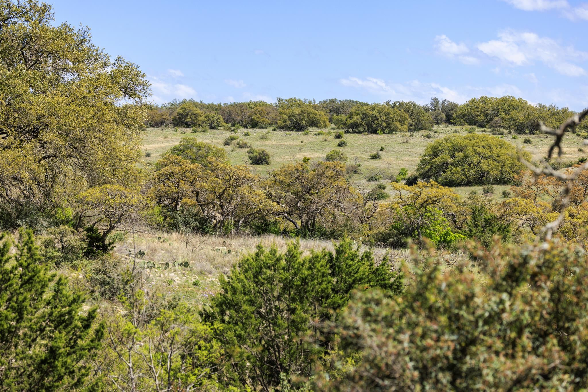 1999 Jacoby Road Mason, TX 76856 - Photo 28 of 30 Gallery Image 28