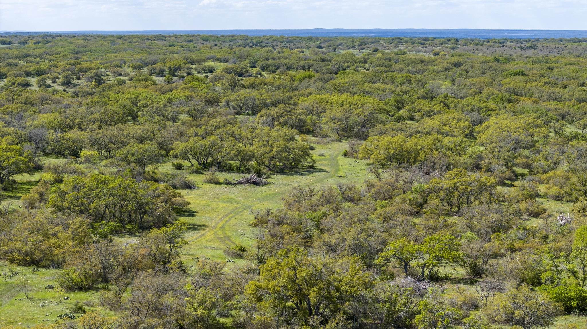 1999 Jacoby Road Mason, TX 76856 - Photo 5 of 30 Gallery Image 5
