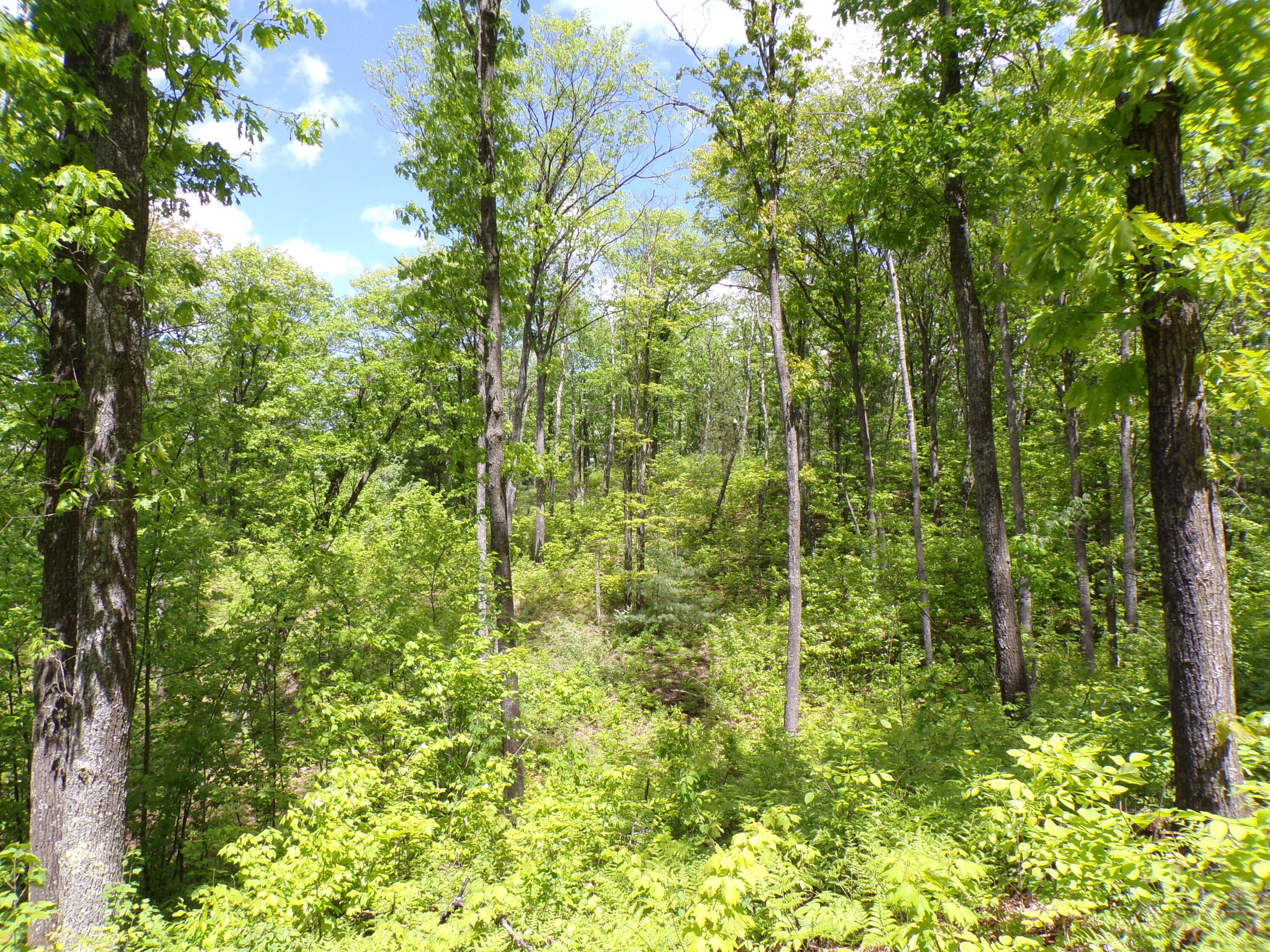 4198 East Miller Road Fairview, MI 48621 - Photo 52 of 64 Gallery Image 52