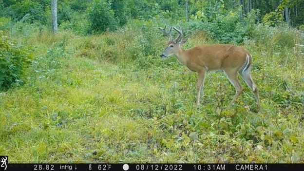44047 Little Pine Road, Unit 568 ACRES Emily, MN 56447 - Photo 84 of 92