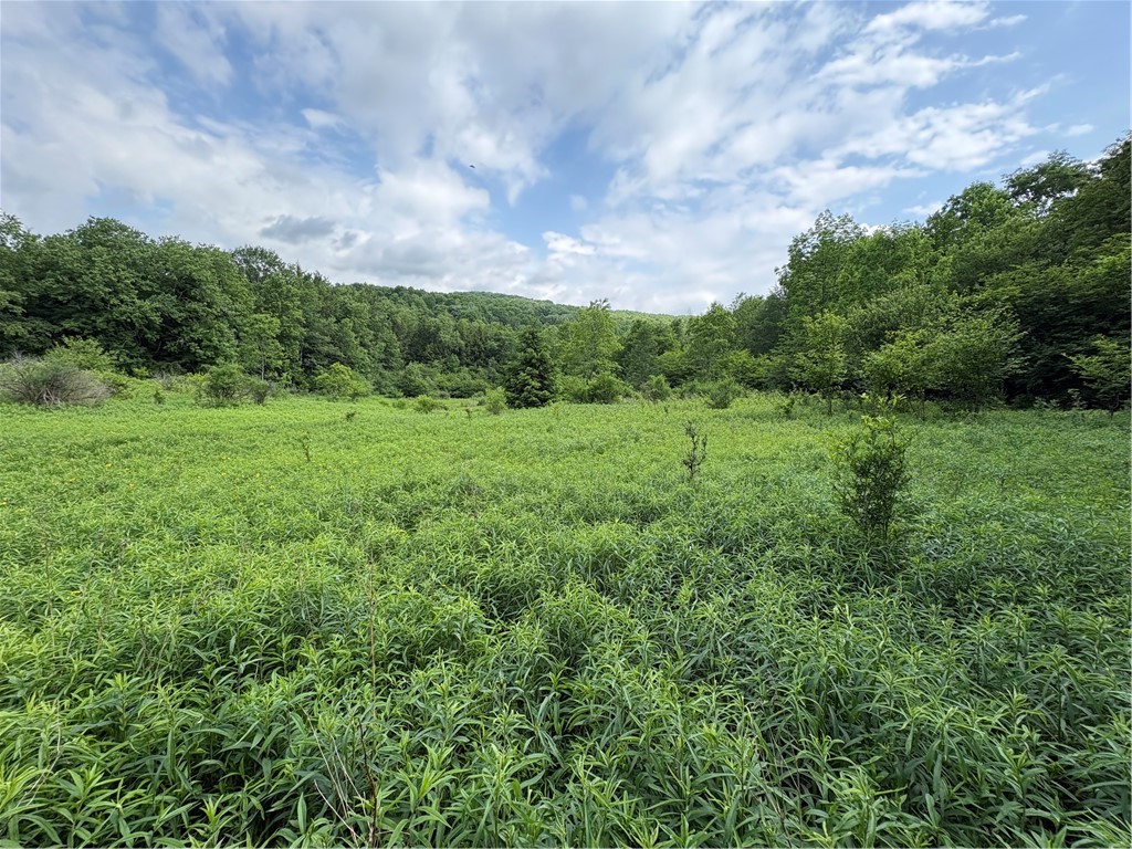 Stage Road South Otselic, NY 13155 - Photo 29 of 29