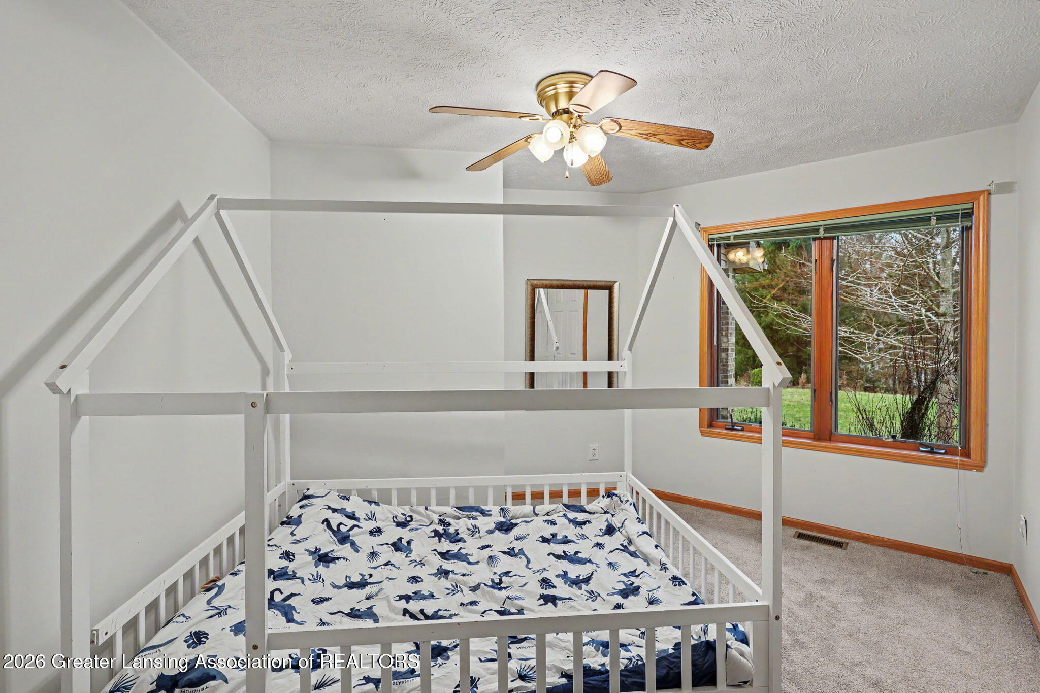 248 Birch Lane Dimondale, MI 48821 - Photo 24 of 44 24-web-or-mls-CQ1A2528