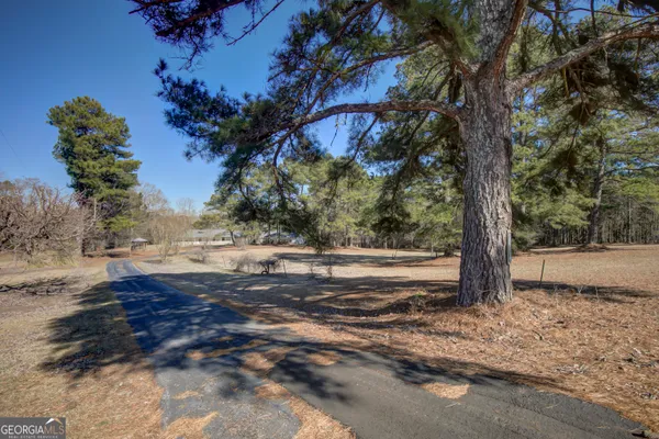 a view of dirt yard with a tree