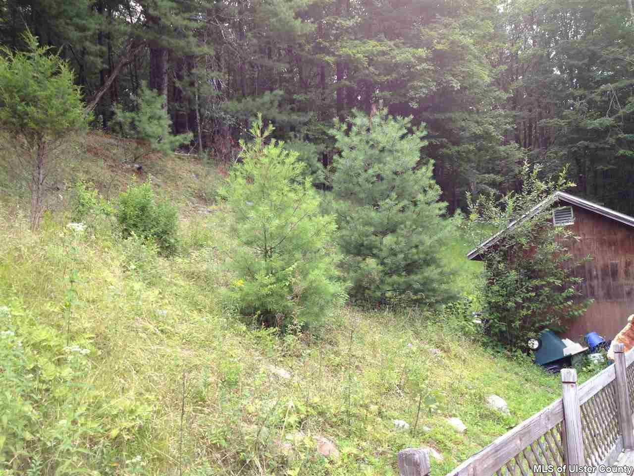 40 Springs Road, Unit OFF WHITFIELD RD Accord, NY 12404 - Photo 18 of 22 Photo 18