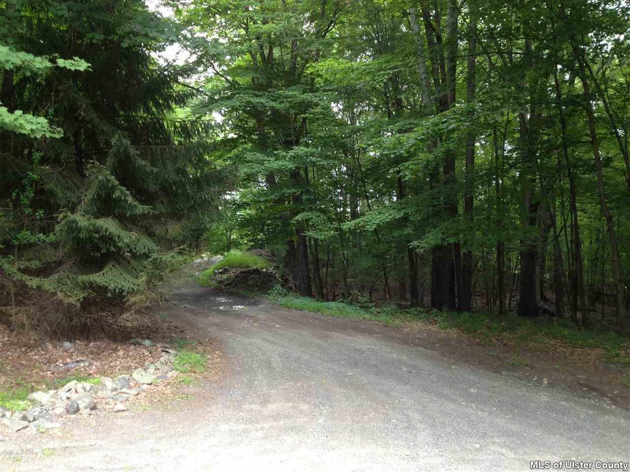 40 Springs Road, Unit OFF WHITFIELD RD Accord, NY 12404 - Photo 21 of 22 Photo 21