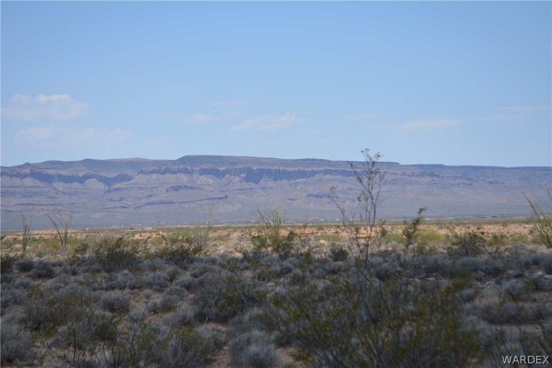 208-24-134 Cameron Road Yucca, AZ 86438 - Photo 15 of 86