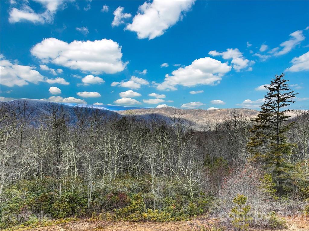 859 Pine Tree Road, Unit 35 Spruce Pine, NC 28777 - Photo 30 of 37 Gallery Image 30