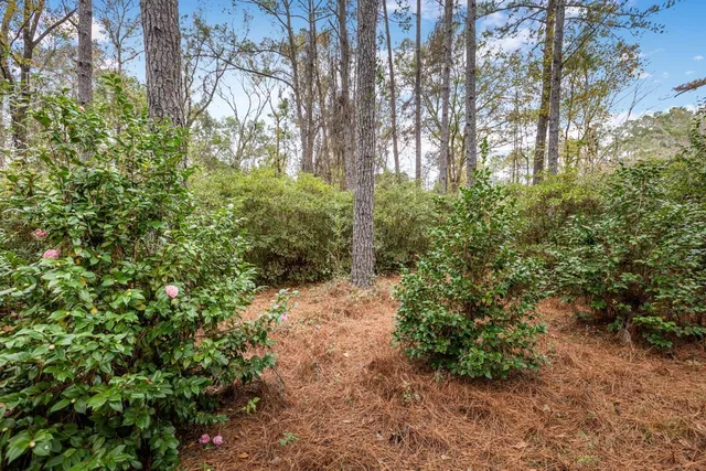 $269,000 | 1511 Spring Hollow Drive, Monticello, FL 32344