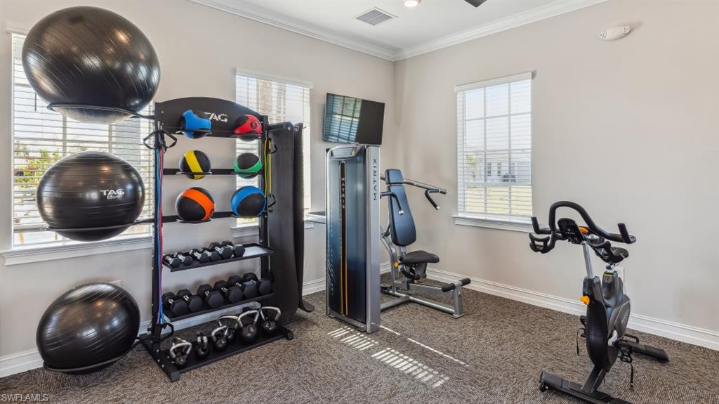 8052 Cedar Ky Way Lehigh Acres, FL 33971 - Photo 31 of 45 Fitness area featuring carpet flooring, windows with blinds, and exercise equipment