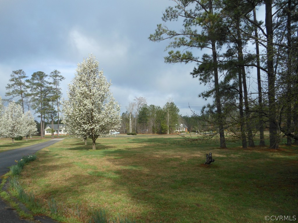 17069 Templeton Road Disputanta, VA 23842 - Photo 5 of 16