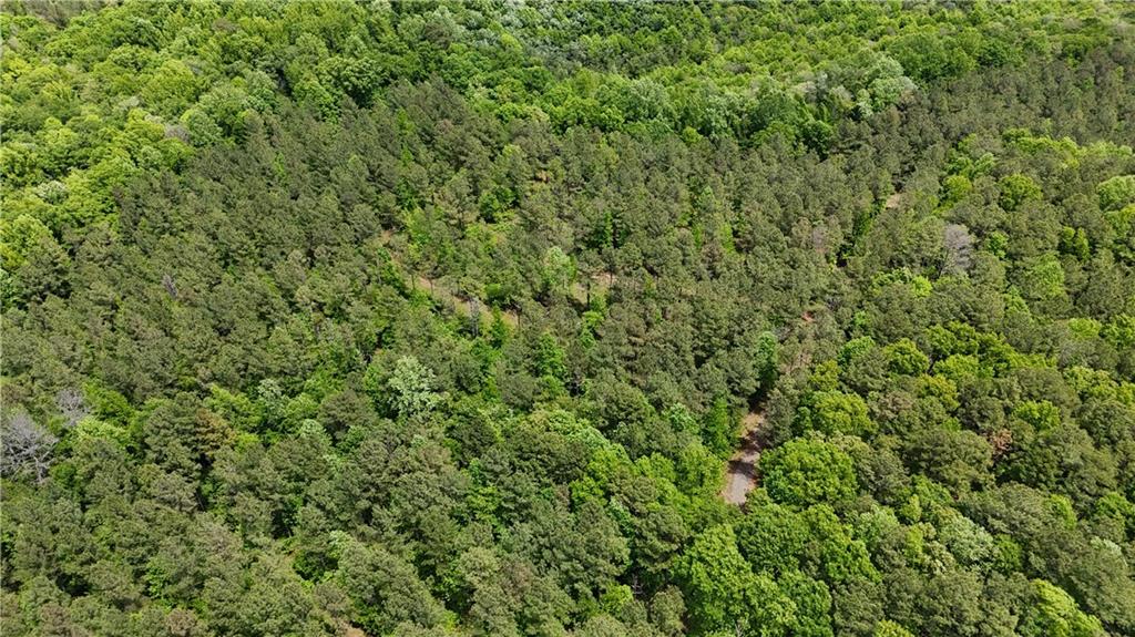 1 Wilson Road Temple, GA 30179 - Photo 64 of 88