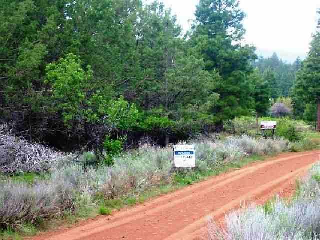 0 Cedar Trail Bonanza, OR 97623 - Photo 1 of 4 Primary Photo