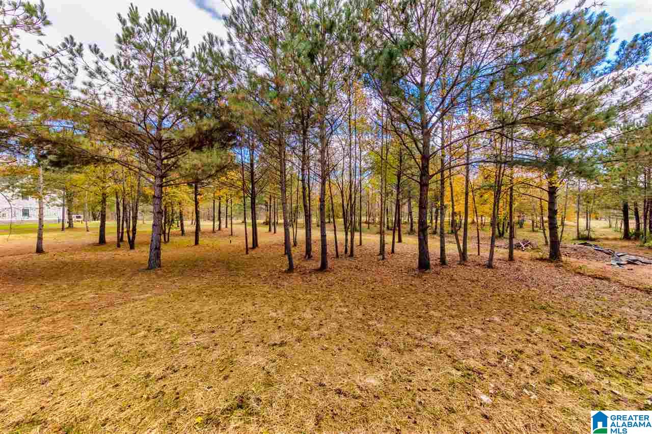 6405 Happy Hollow Road Trussville, AL 35173 - Photo 30 of 33