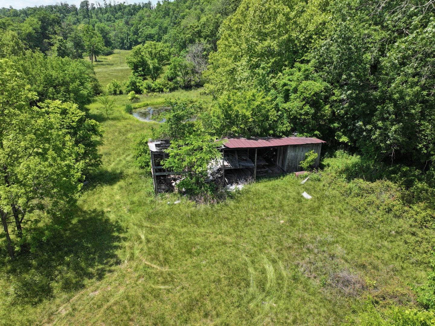 110 Wade Reed Road White Bluff, TN 37187 - Photo 51 of 80