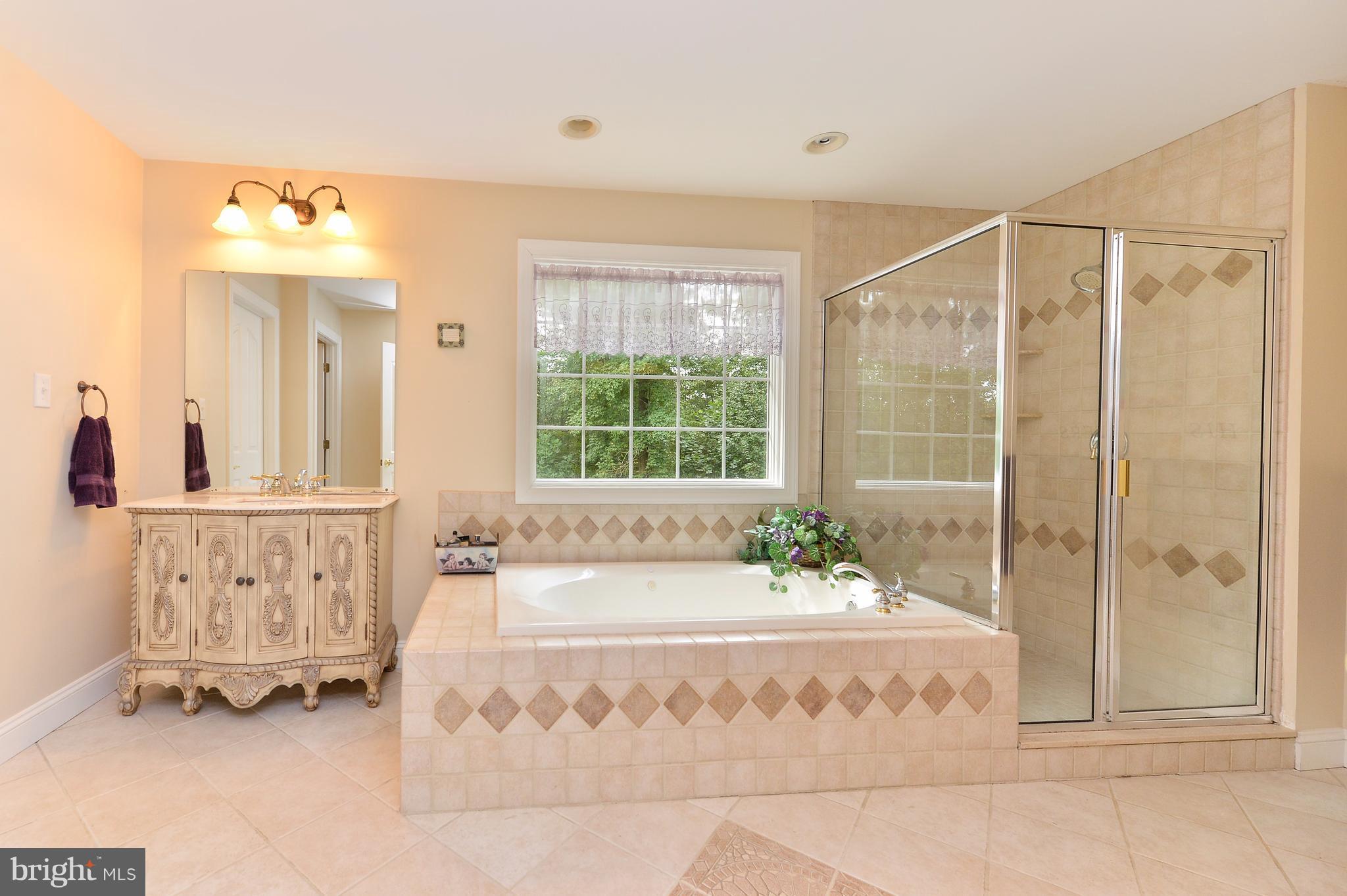 106 Wood Chip Road Elkton, MD 21921 - Photo 16 of 30 Bath (Master)