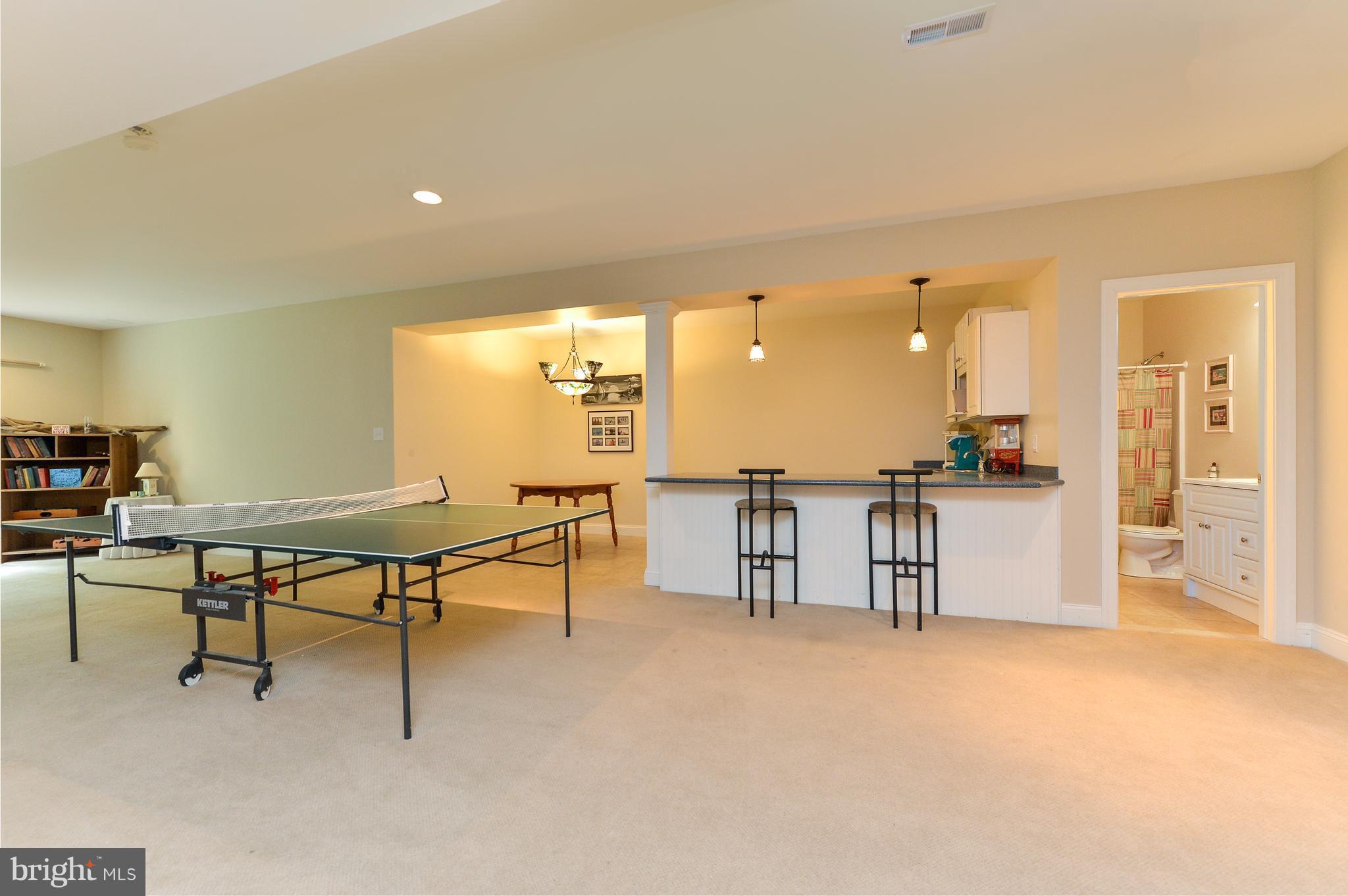 106 Wood Chip Road Elkton, MD 21921 - Photo 25 of 30 Basement