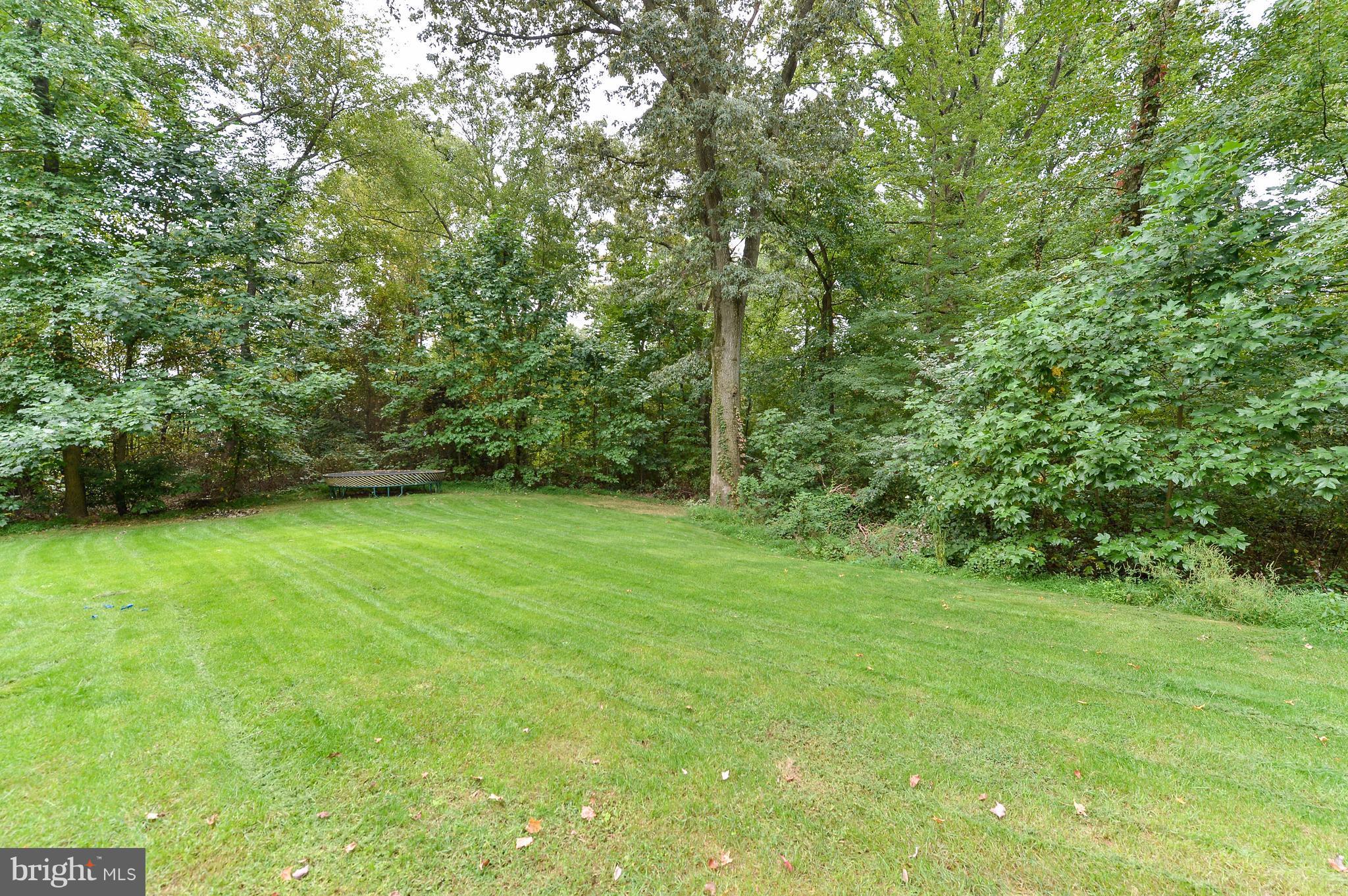 106 Wood Chip Road Elkton, MD 21921 - Photo 29 of 30 Back Yard