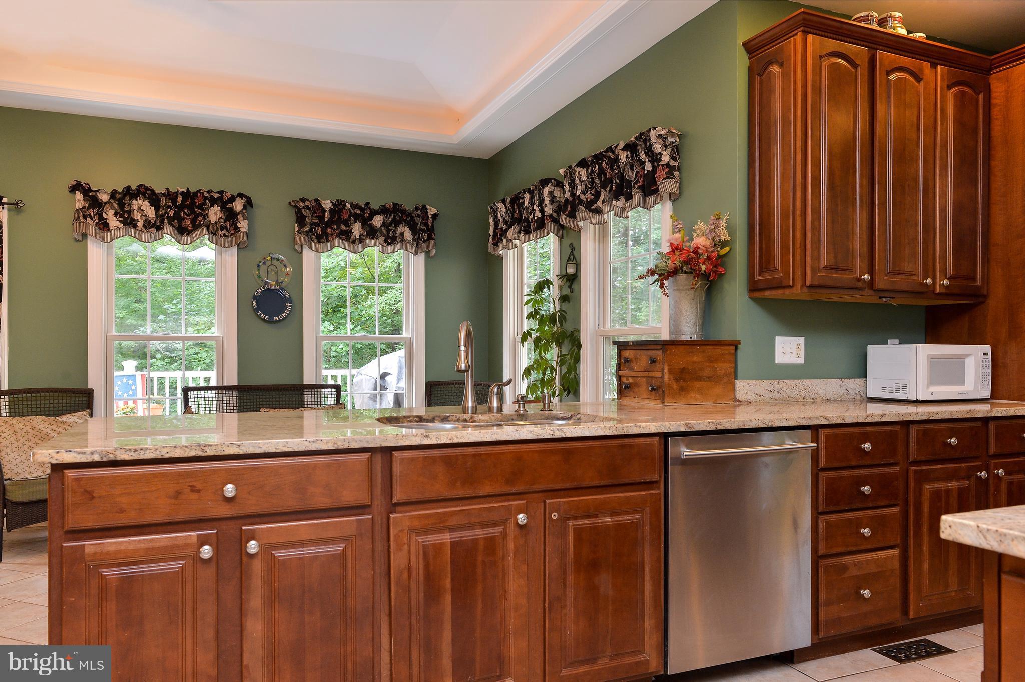 106 Wood Chip Road Elkton, MD 21921 - Photo 6 of 30 Kitchen