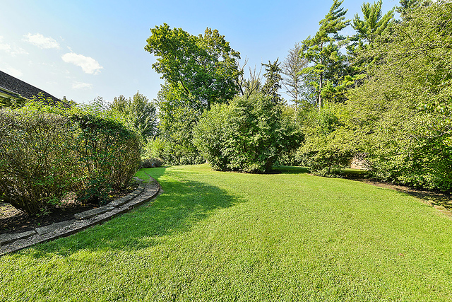 115 Woodley Road Winnetka, IL 60093 - Photo 38 of 41 a view of a yard with a trees