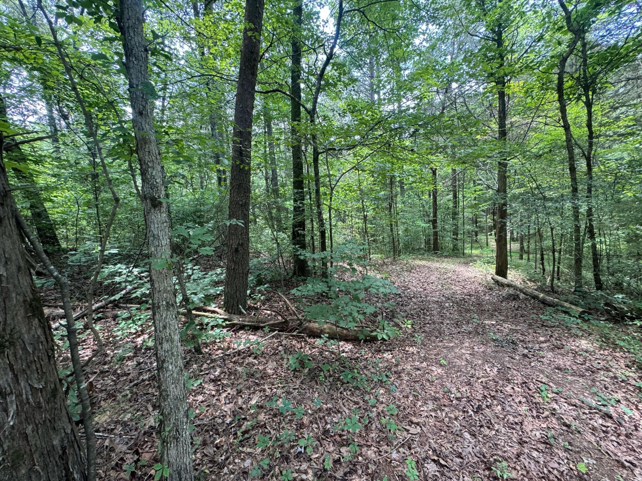 14 Gatlin Road Northeast Cleveland, TN 37323 - Photo 9 of 10 Gallery Image 9