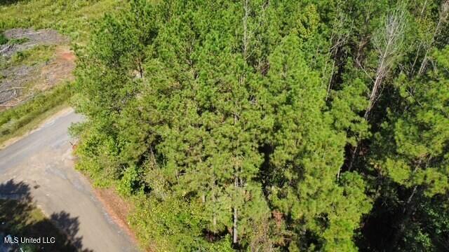 5464 A Pecan Orchard Road Liberty, MS 39645 - Photo 12 of 14 thumbnail_IMG_1552