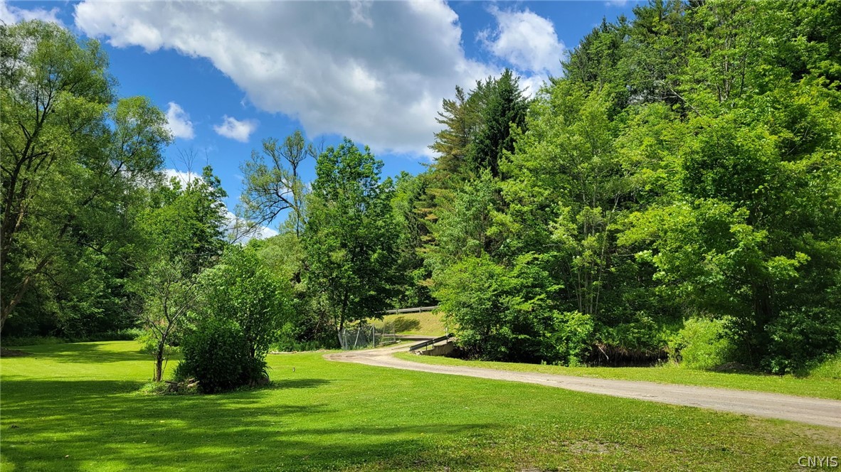 4524 Maybury Road Solon, NY 13101 - Photo 20 of 42 Driveway in to properties