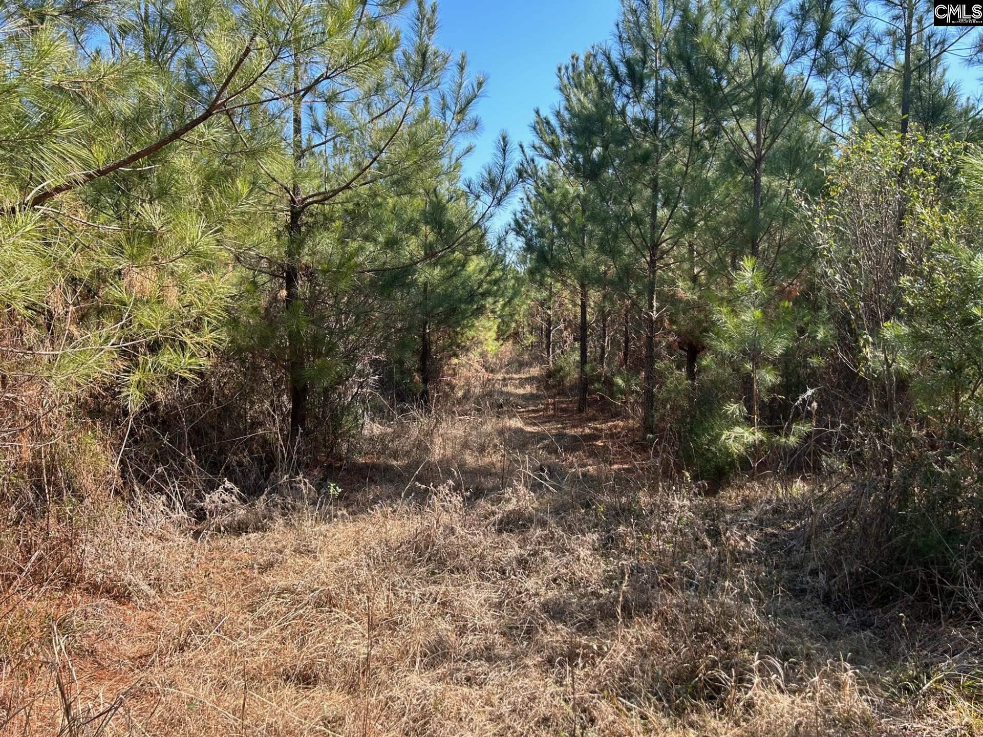 Tbd Crooked Creek Road Chapin, SC 29036 - Photo 14 of 20