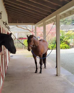 $2,688,000 | 12170 Calle Uvas, Gilroy, CA 95020