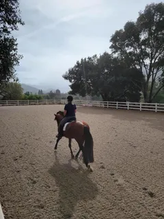 $2,688,000 | 12170 Calle Uvas, Gilroy, CA 95020