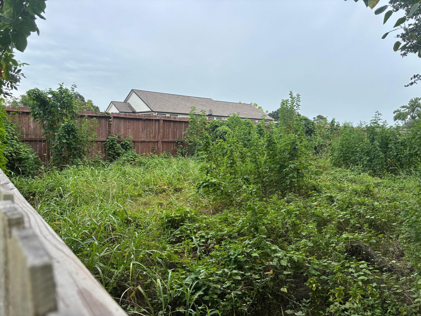 0 Parker Road Houston, TX 77093 - Photo 11 of 11 Gallery Image 11