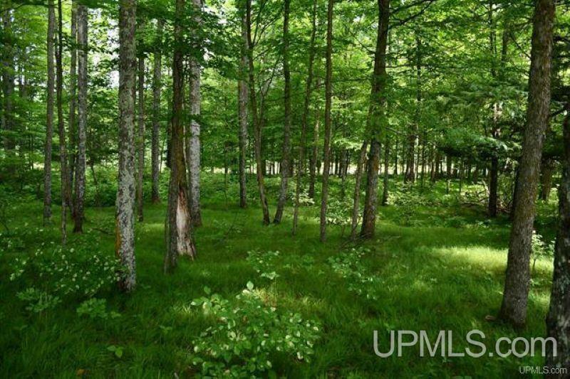 Lot#25 Fordville Road Foster City, MI 49834 - Photo 16 of 27