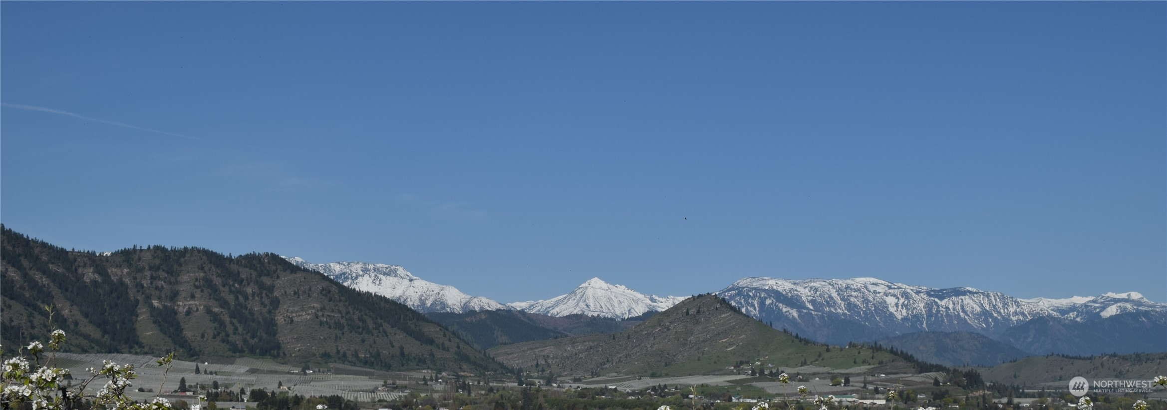 124 Freedom Hills Cashmere, WA 98815 - Photo 19 of 27 a view of a dry yard with mountain in the background