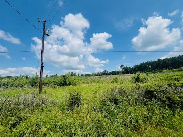 Tbd Pittman Road Kokomo, MS 39643 - Photo 3 of 6 Photo 3