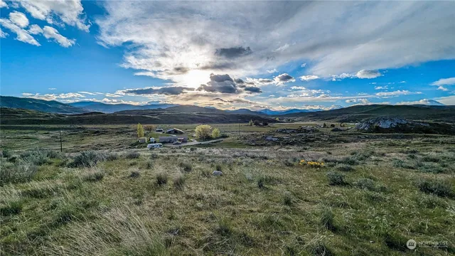 a view of a big yard with lots of green space