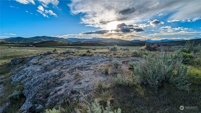 a view of a yard with a mountain