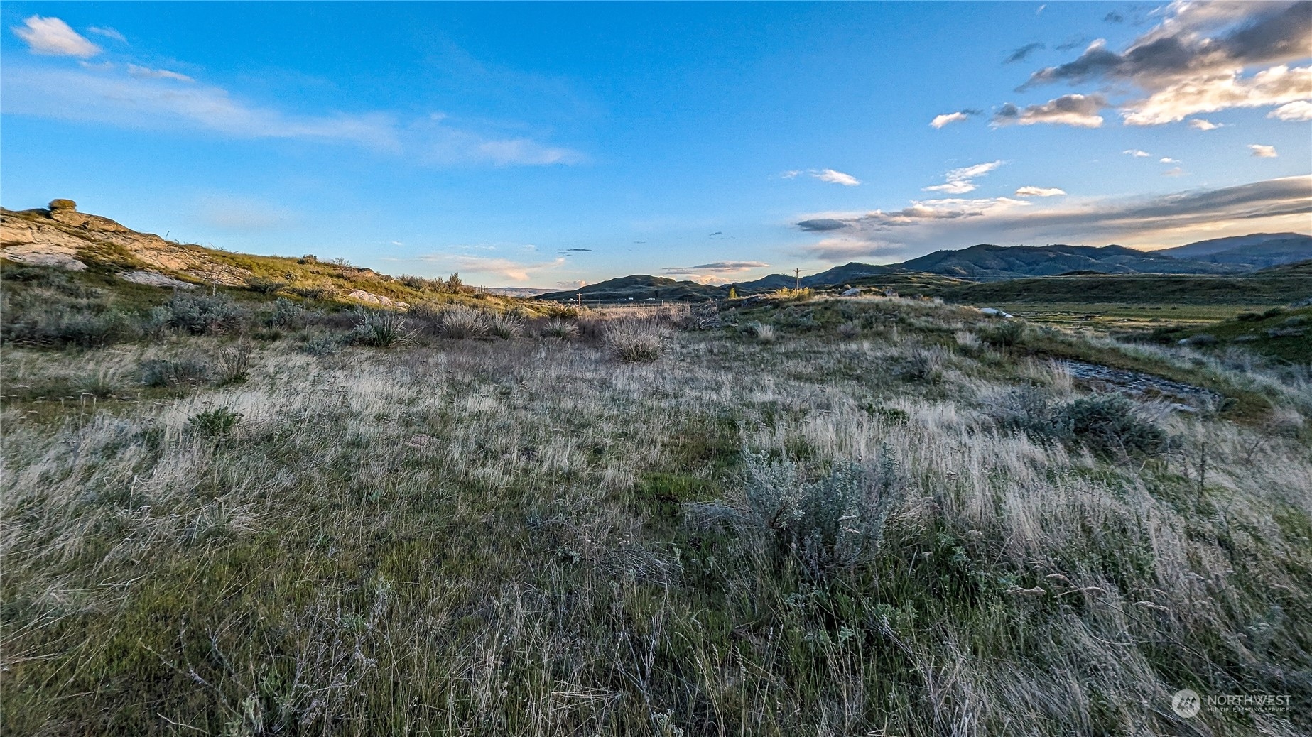 255 Riverside Cutoff Road Riverside, WA 98849 - Photo 35 of 40 a view of a lush green forest