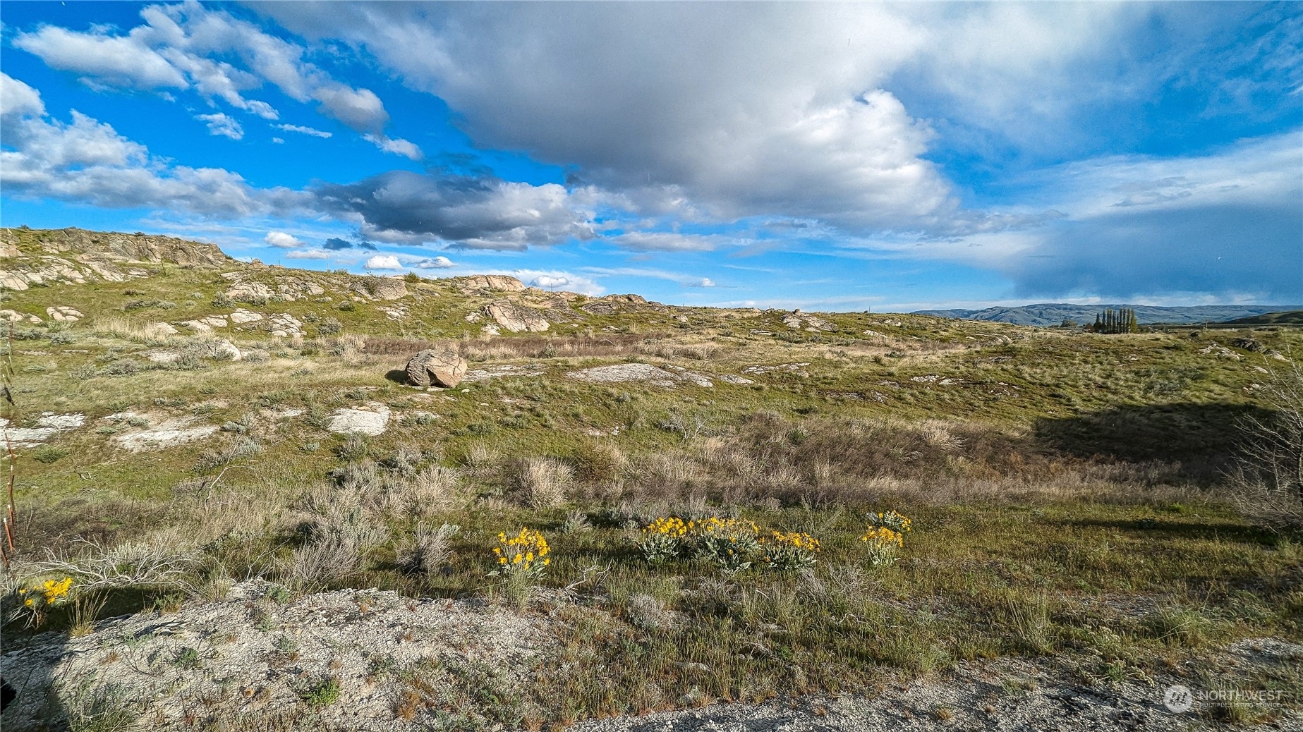 255 Riverside Cutoff Road Riverside, WA 98849 - Photo 9 of 40 a view of a yard