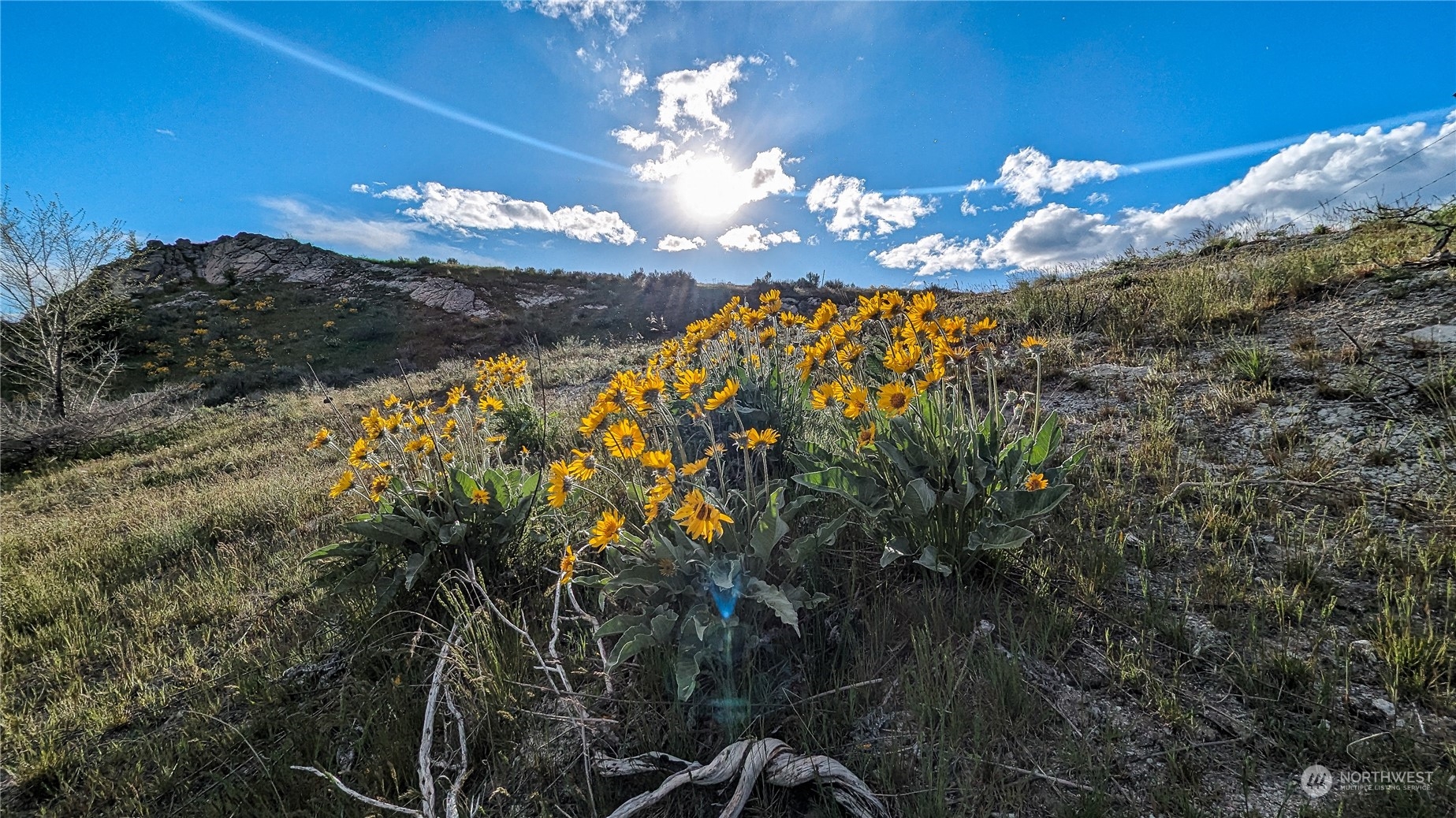 255 Riverside Cutoff Road Riverside, WA 98849 - Photo 10 of 40 a view of a house with a yard