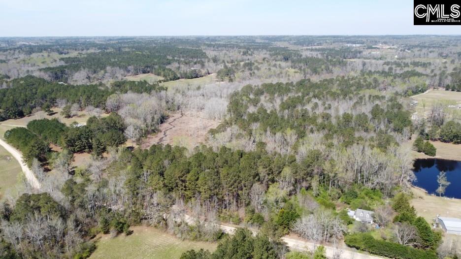1672 Dixired Road Leesville, SC 29070 - Photo 42 of 67