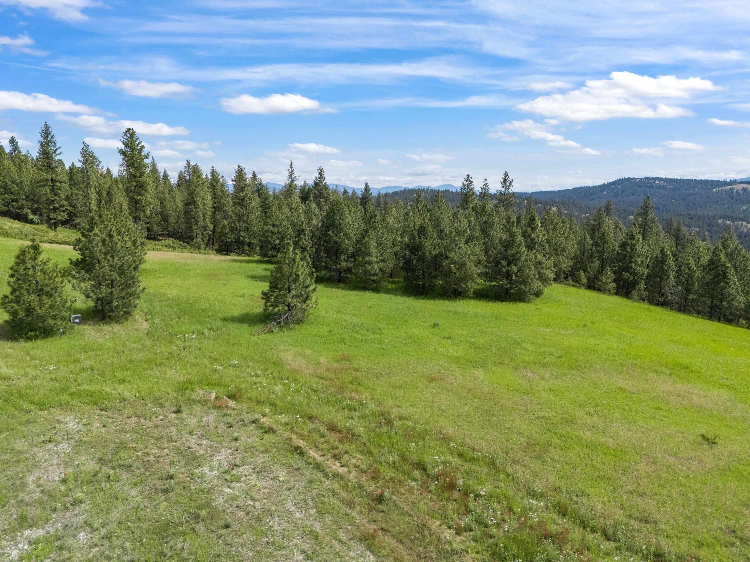 9630 South Sands Road Valleyford, WA 99036 - Photo 21 of 32