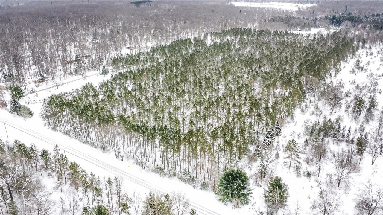 8 West 8 Mile Road Free Soil, MI 49411 - Photo 5 of 9