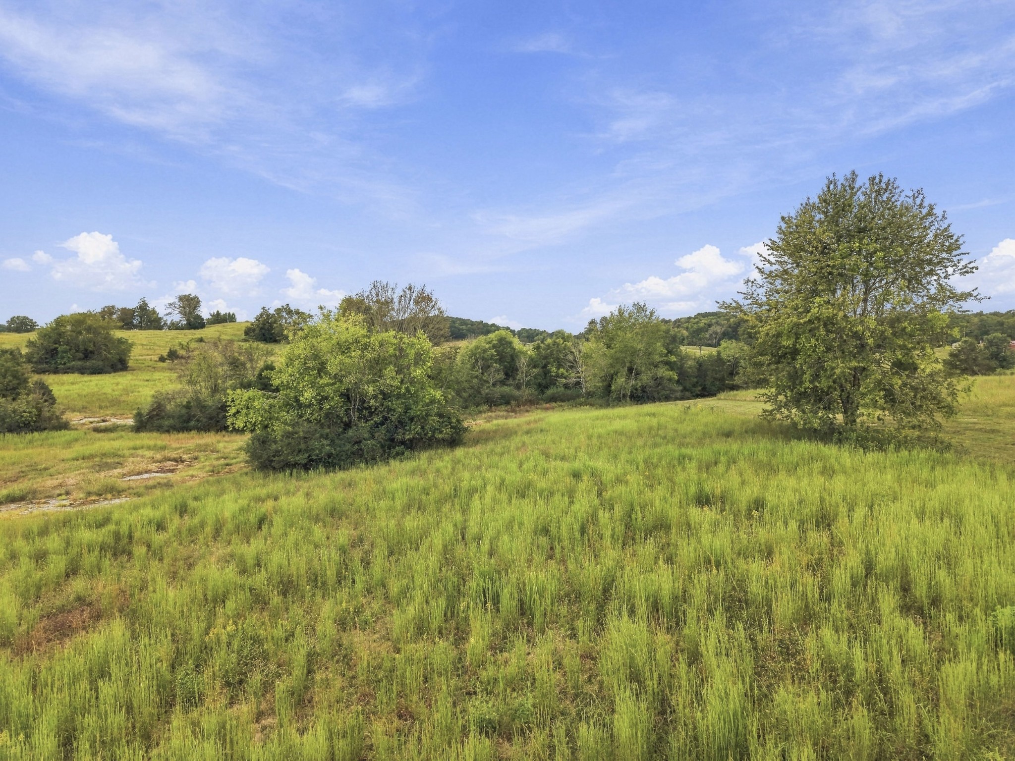 7 Cedar Bluff Road Lebanon, TN 37087 - Photo 5 of 17 Gallery Image 5
