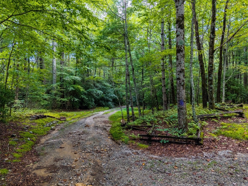 0 Little Terrapin Road Cashiers, NC 28717 - Photo 11 of 14 Gallery Image 11