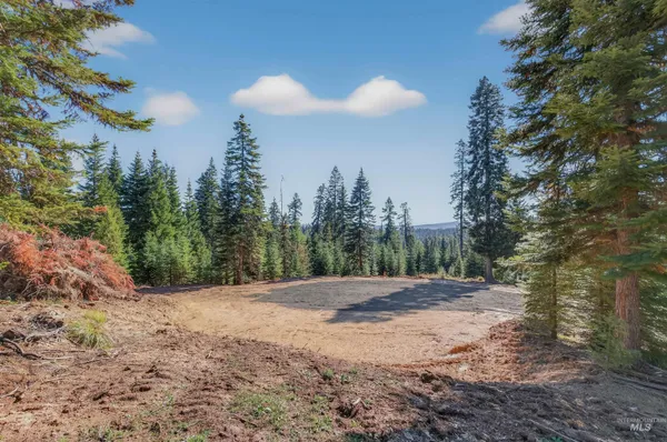 $149,000 | 4 Tree Farm Trails Road, Elk City, ID 83525