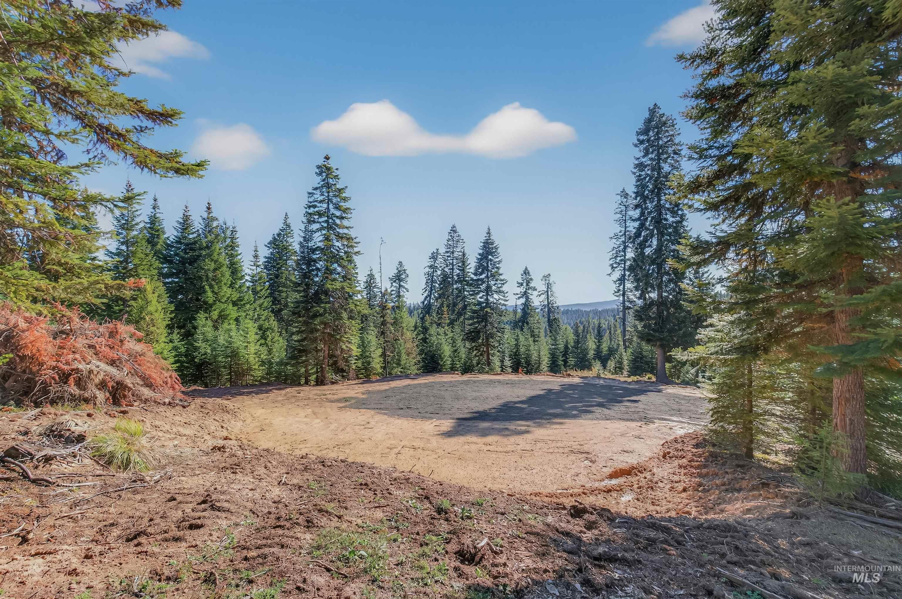 4 Tree Farm Trails Road Elk City, ID 83525 - Photo 11 of 17 View of yard with a view of trees