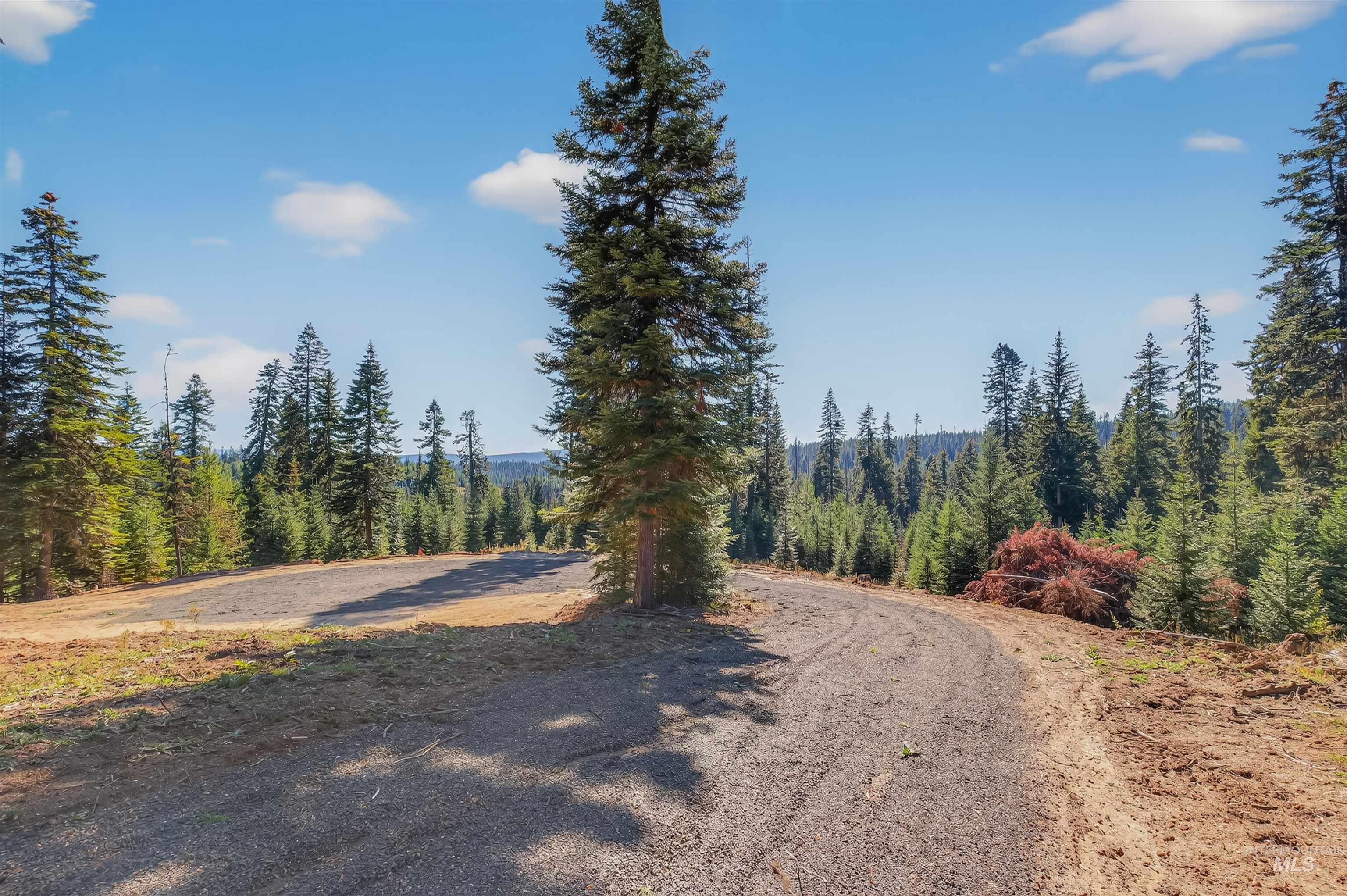 4 Tree Farm Trails Road Elk City, ID 83525 - Photo 12 of 17 View of dirt / gravel road featuring a view of trees