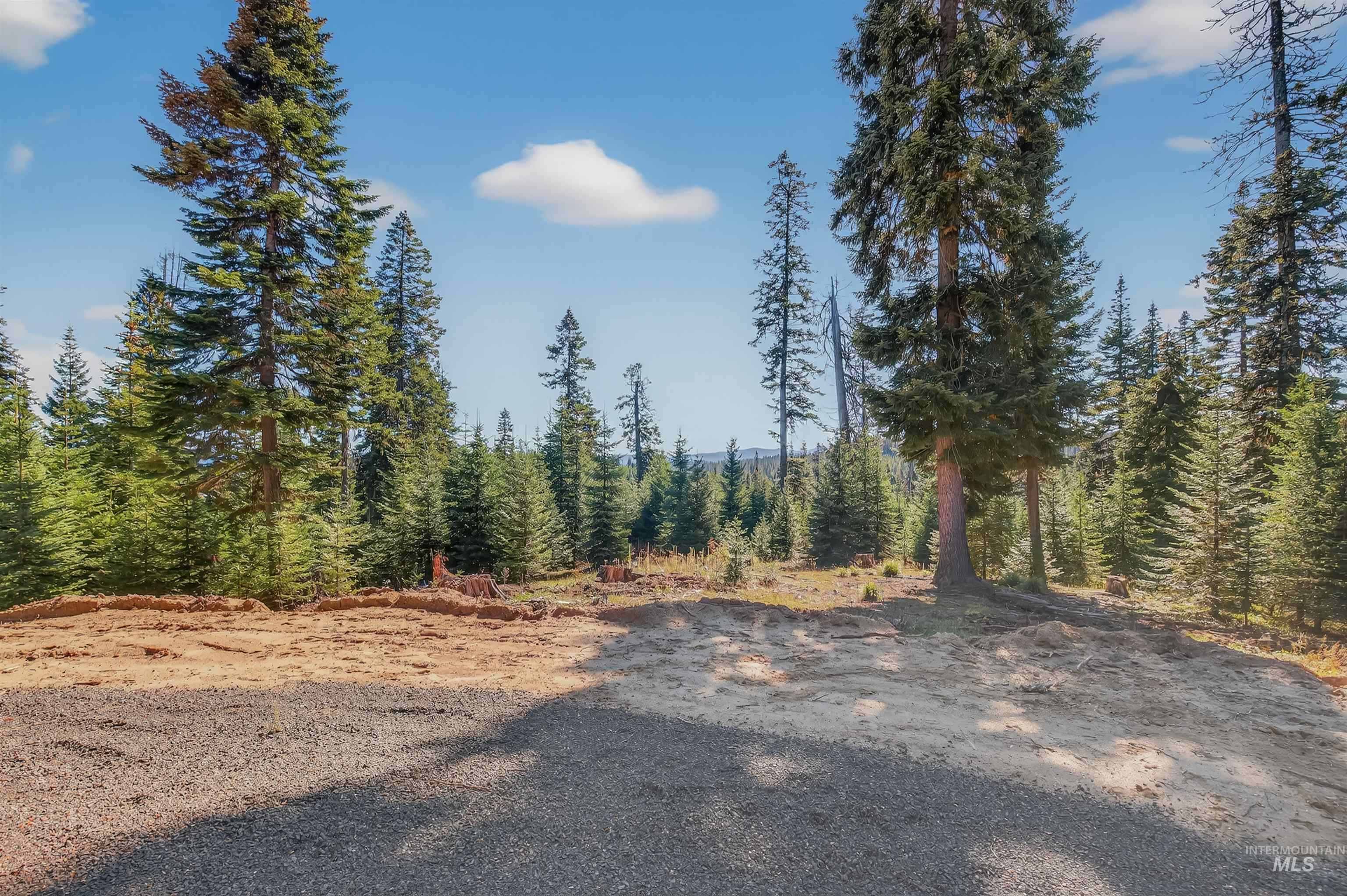 4 Tree Farm Trails Road Elk City, ID 83525 - Photo 5 of 17 View of wooded area