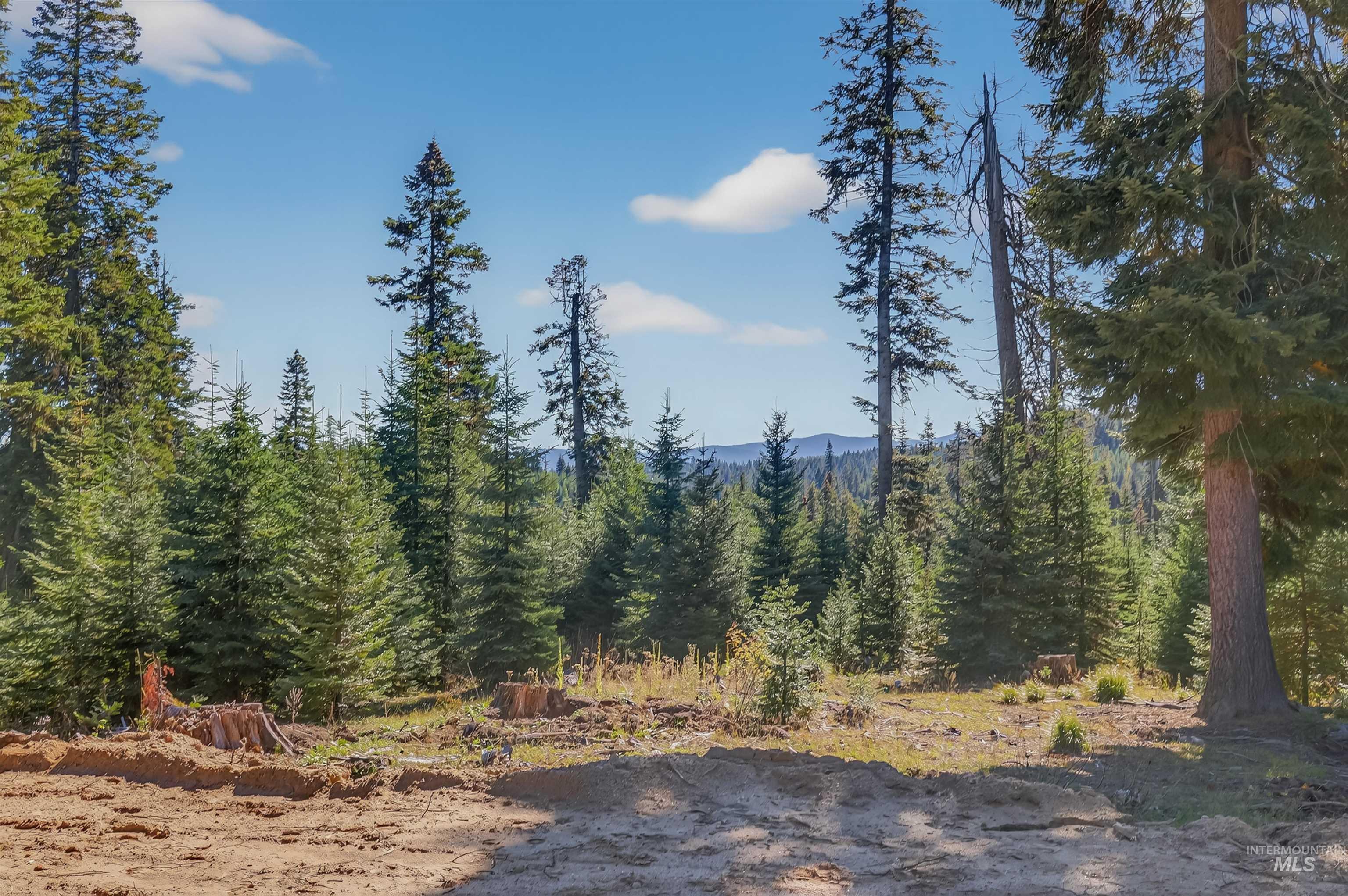 4 Tree Farm Trails Road Elk City, ID 83525 - Photo 6 of 17 View of wooded area
