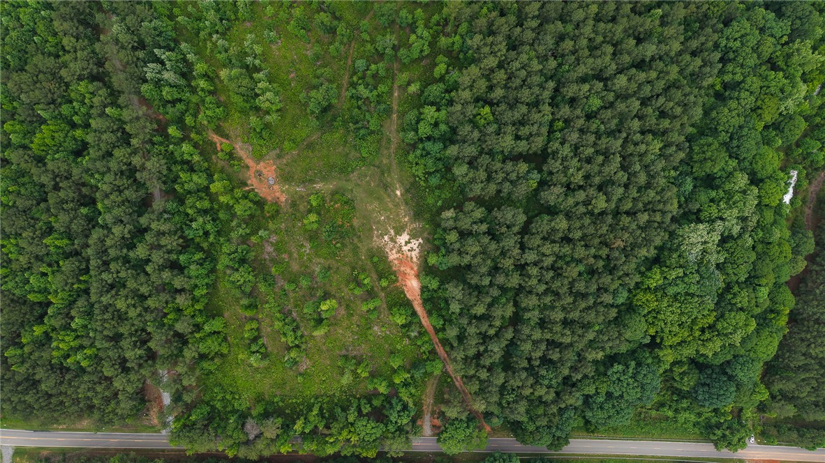 2125 Highway 247 Belton, SC 29627 - Photo 4 of 15 A verdant, expansive undeveloped lot borders a quiet road, offering prime buildable land.